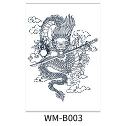 WM-B003